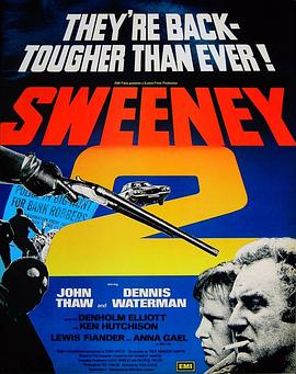 除暴安良2 Sweeney 2