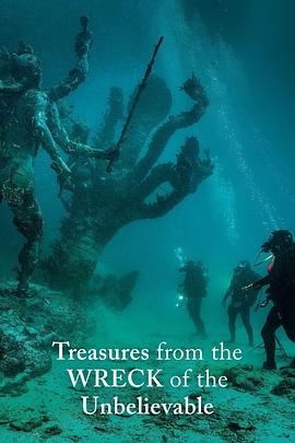 碧海寻宝记 Treasures from the Wreck of the Unbelievable