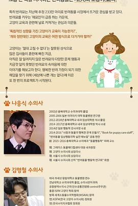 拜托了猫咪 고양이를 부탁해