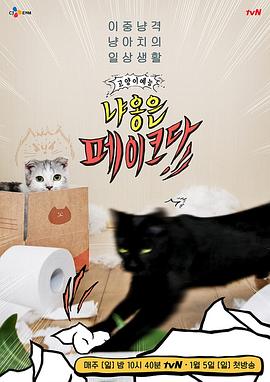 喵是假的 냐옹은 페이크다