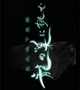 NHK特别篇 巨大的地下空间：龙之巢 NHKスペシャル「巨大地下空間 龍の巣に挑む」