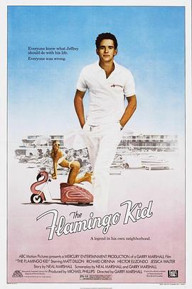 小生有料到 The Flamingo Kid