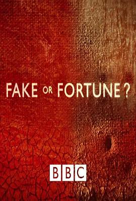 赝品或珍品？ 第二季 Fake or Fortune? Season 2