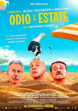 我讨厌夏天 Odio l'estate