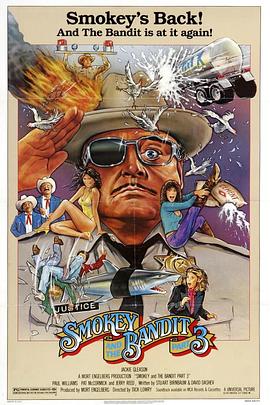 横冲直撞斗飞车3 Smokey and the Bandit III