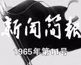 新闻简报1965年第11号