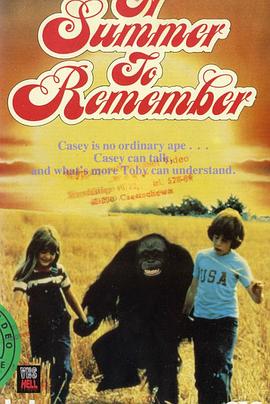 夏天的记忆 A Summer to Remember