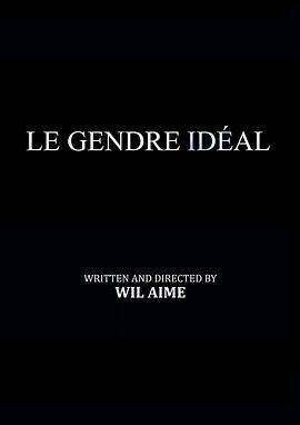 完美女婿 Le gendre idéal