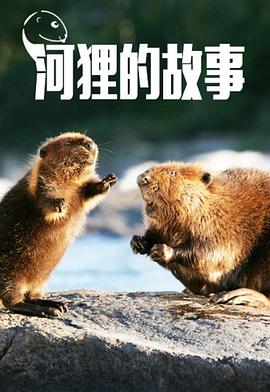 河狸的故事