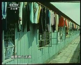 申年记忆