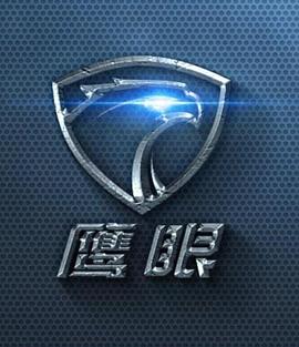 鹰眼
