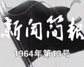 新闻简报1964年第13号