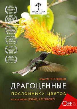 蜂鸟：宝石般的信使 Hummingbirds Jewelled Messengers
