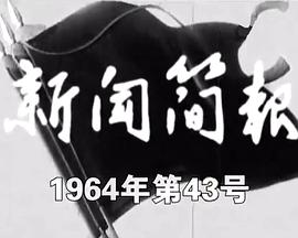 新闻简报1964年第43号