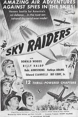 天空突袭者 Sky Raiders