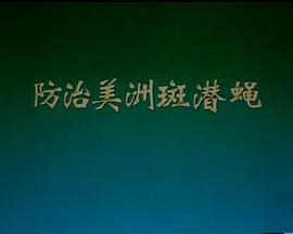 防治美洲斑潜蝇