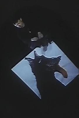 对一寸法师进行记录的尝试 一寸法師を記述する試み