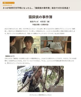 猫侦探的事件簿 猫探偵の事件簿