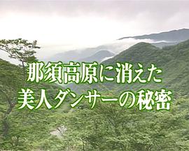 混浴露天風呂連続殺人 那須高原に消えた美人ダンサーの秘密 ヌードギャルと温泉の鉄人秘湯ツアー