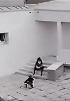 艺术部门 Les ministères de l'art