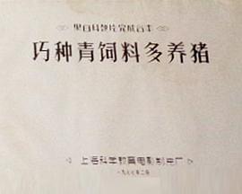 巧种青饲料多养猪