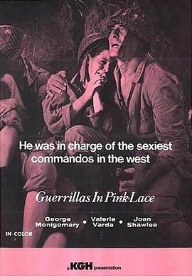 红粉游击队 Guerillas in Pink Lace