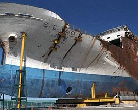 总有一天，会再见吧 ~世越号事故 孩子们的视频信息~ いつか また 会おう ~セウォル号事故・子どもたちの動画メッセージ~