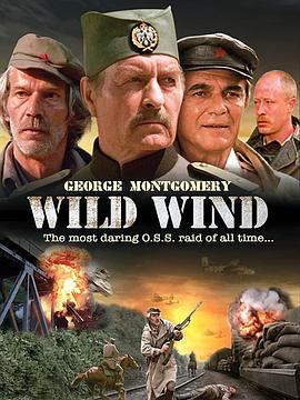 狂放的风 Дикий ветер