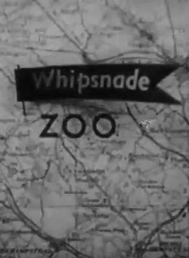 伦敦动物园新建筑 The New Architecture at the London Zoo