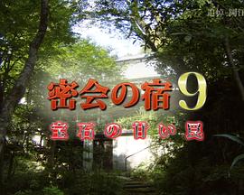 密会的夜宿9 宝石的甜蜜陷阱 密会の宿9 宝石の甘い罠