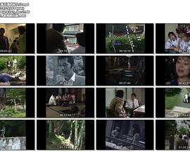 混浴露天風呂連続殺人・誘拐された美人社長の謎 温泉ギャルみちのく秘湯大追跡！ 瀬波～胎内～白布～新高湯～五色～滑川温泉