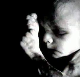 残蚀的理性 Eclipse of Reason