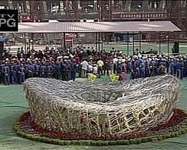 伟大工程巡礼：鸟巢 Megastructures: Beijing National Stadium - the Bird's Nest