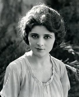 寡妇的追求者 The Widow's Suitors