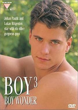 男孩3：青年才俊 Boy 3: Boy Wonder
