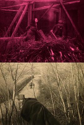 洞穴猫头鹰 I gufi delle caverne