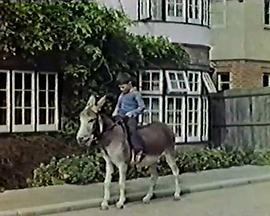 长尾巴的孩子 Shamus - An Irish Adventure