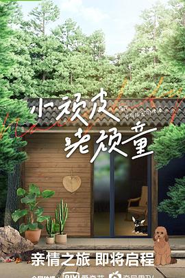 小顽皮老顽童
