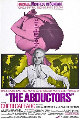 大诱拐 The Abductors