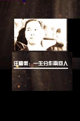 汪精卫：一生分作两回人 汪精衛：一生分作兩回人