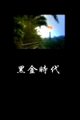 凤凰大视野之黑金时代
