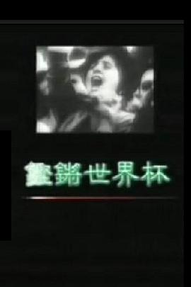 凤凰大视野-铿锵世界杯