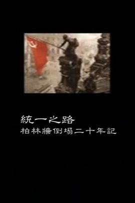 柏林墙倒塌二十周年记