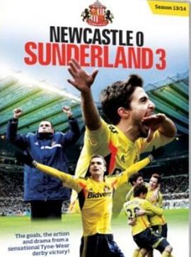 Sunderland 3 v 0 Newcastle United