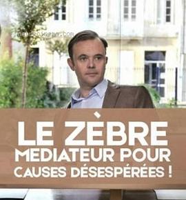 婚姻调解人 Le Zèbre: Médiateur pour Causes Désespérées