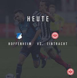 霍芬海姆VS法兰克福 TSG 1899 Hoffenheim vs Eintracht Frankfurt