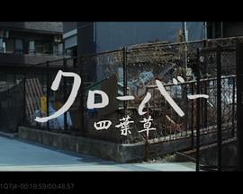 四叶草 クローバー