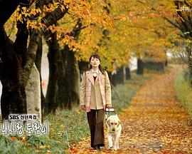 亲爱的托拉米 My Love Toram