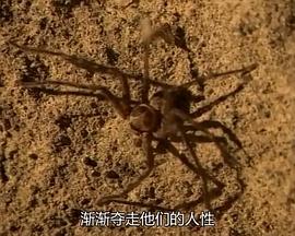 硫磺岛玉碎战 硫黄岛 玉砕戦 ～生还者 61年目の证言～