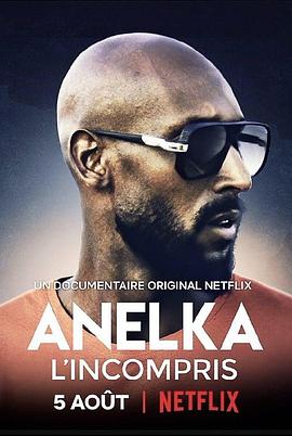 阿内尔卡：全是误解 Anelka: L'Incompris